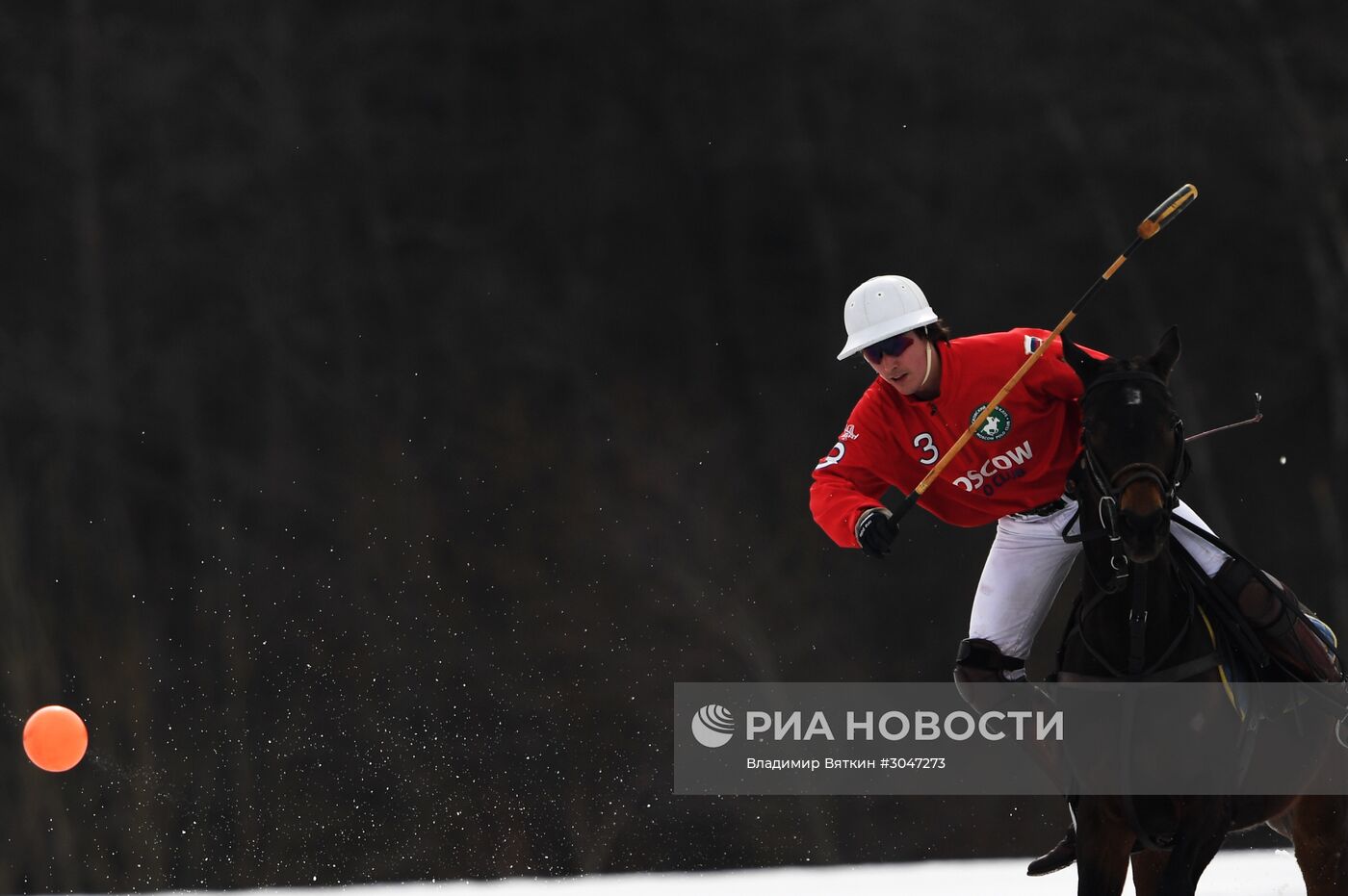 Чемпионат России по поло на снегу