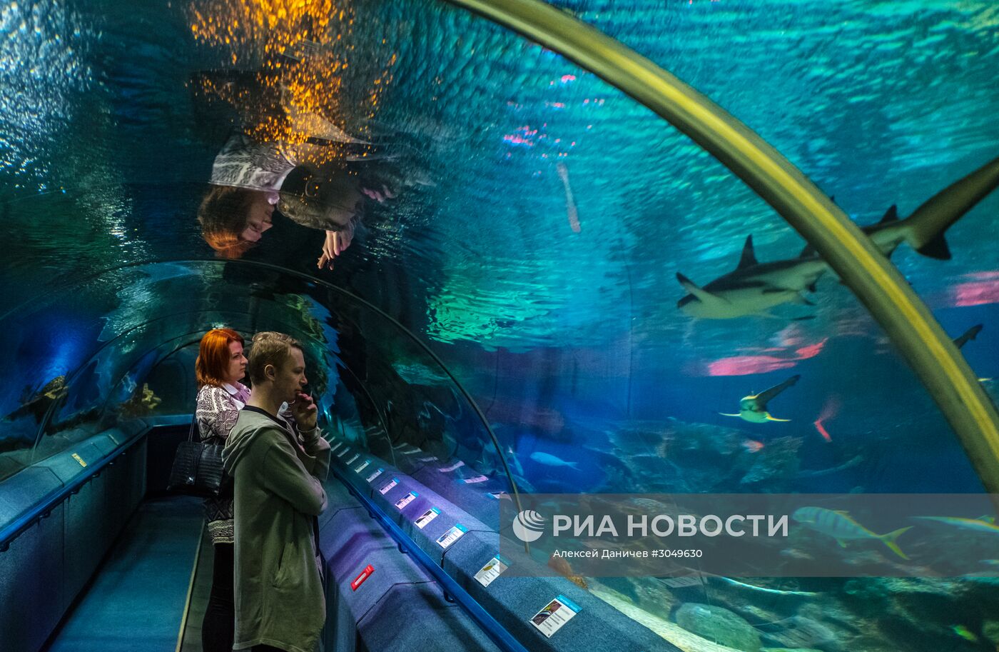 Санкт-Петербургский океанариум
