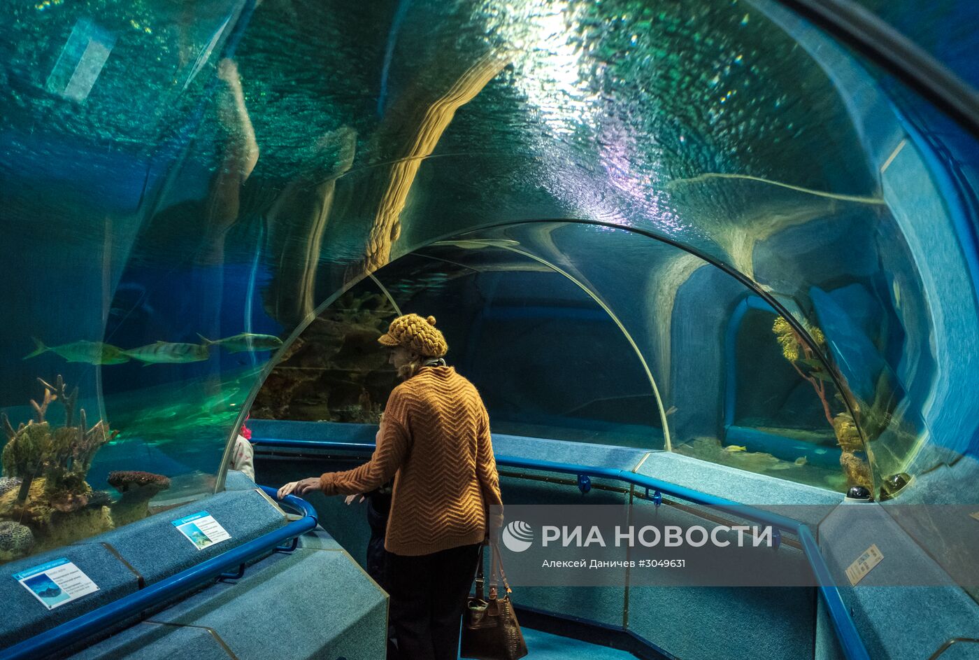 Санкт-Петербургский океанариум