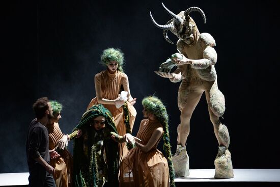 Генеральный прогон балета "Пер Гюнт" в Новосибирском театре оперы и балета