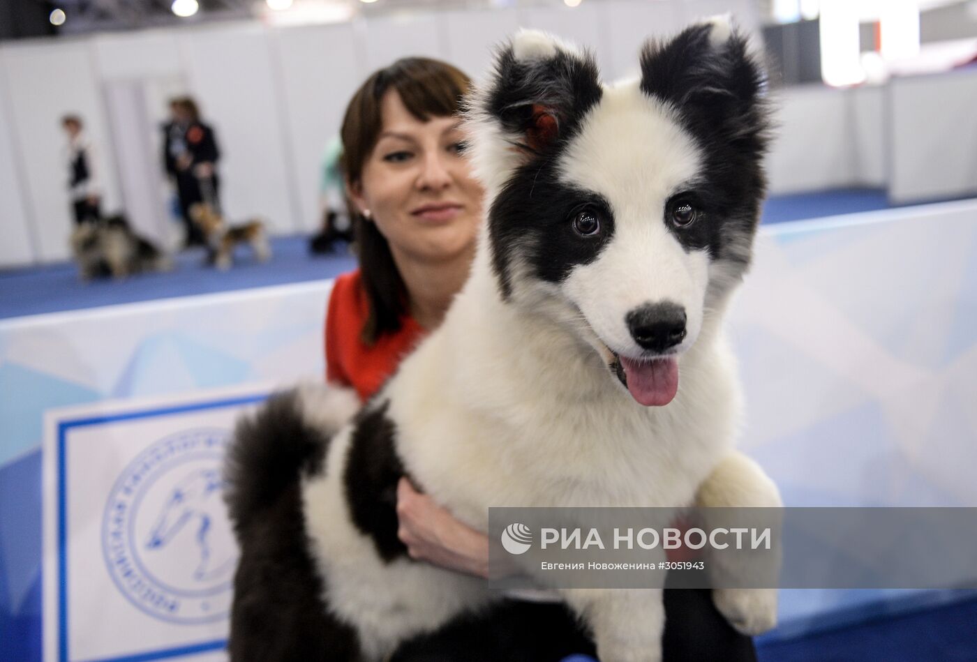25-я выставка собак "Евразия"