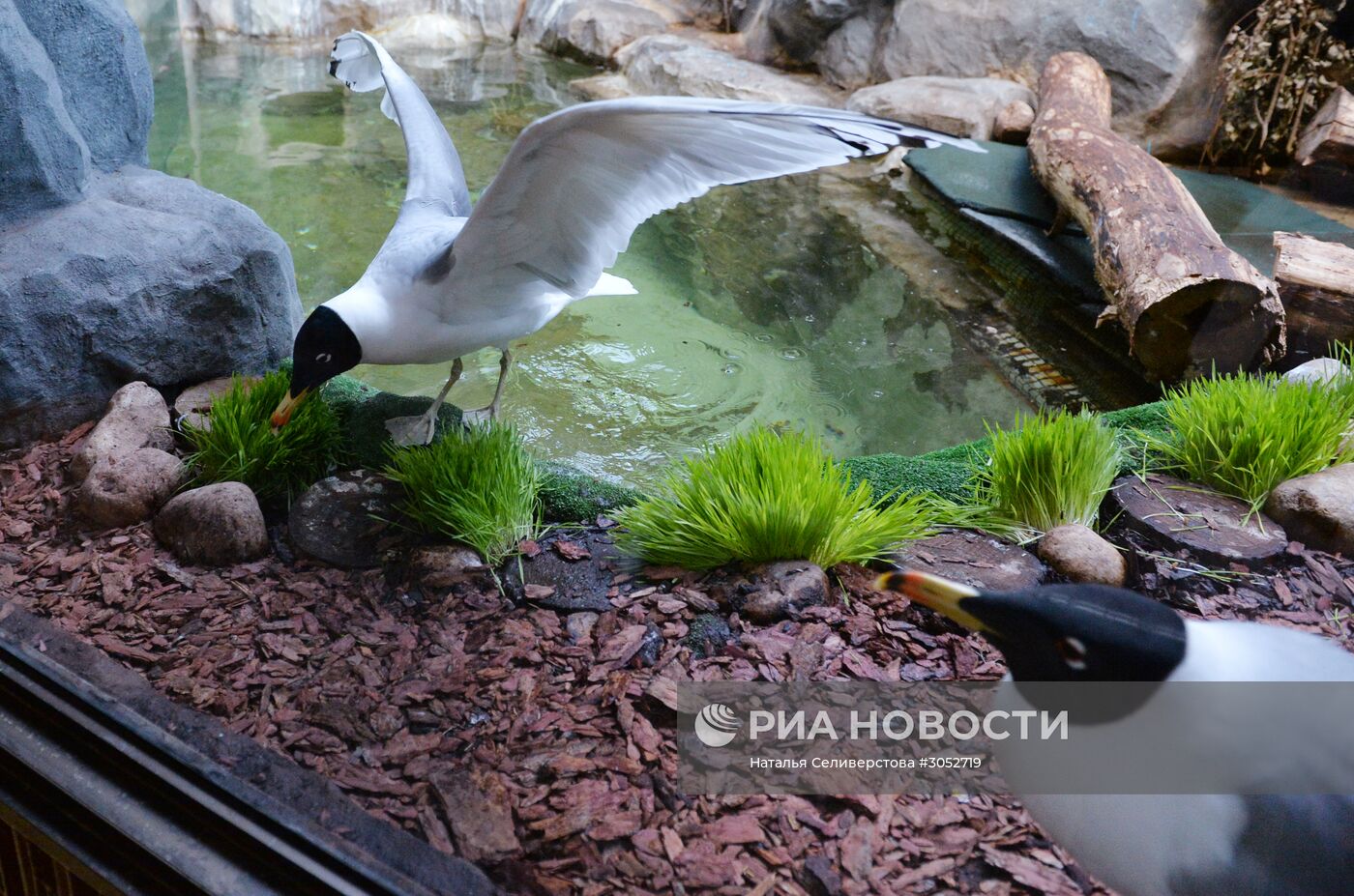 Московский зоопарк