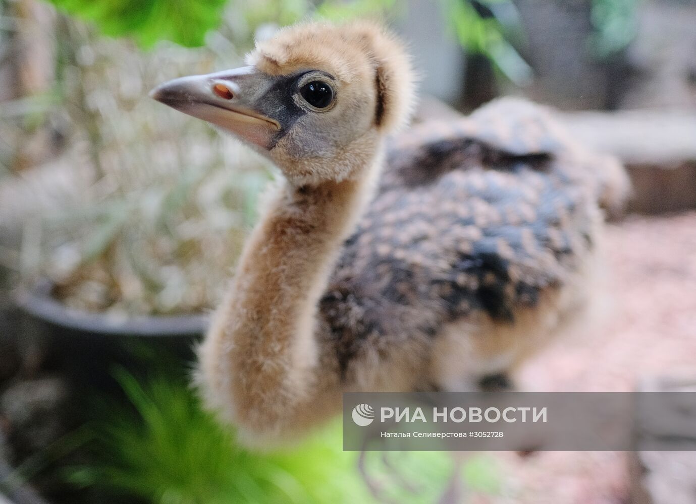 Московский зоопарк