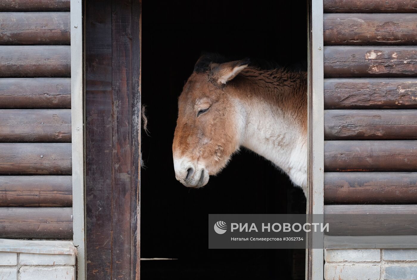 Московский зоопарк