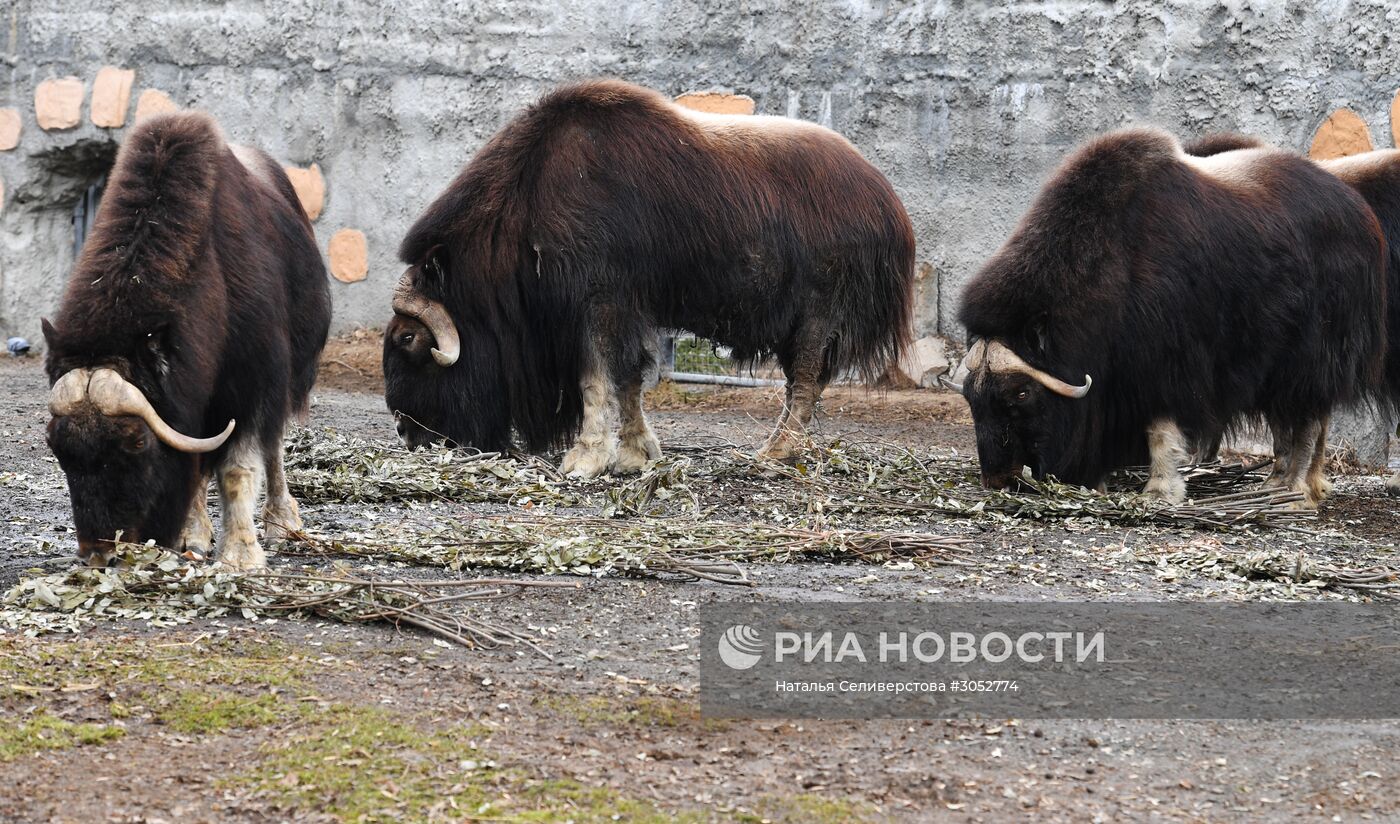 Московский зоопарк