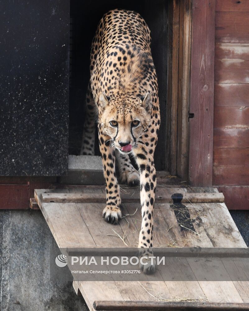 Московский зоопарк