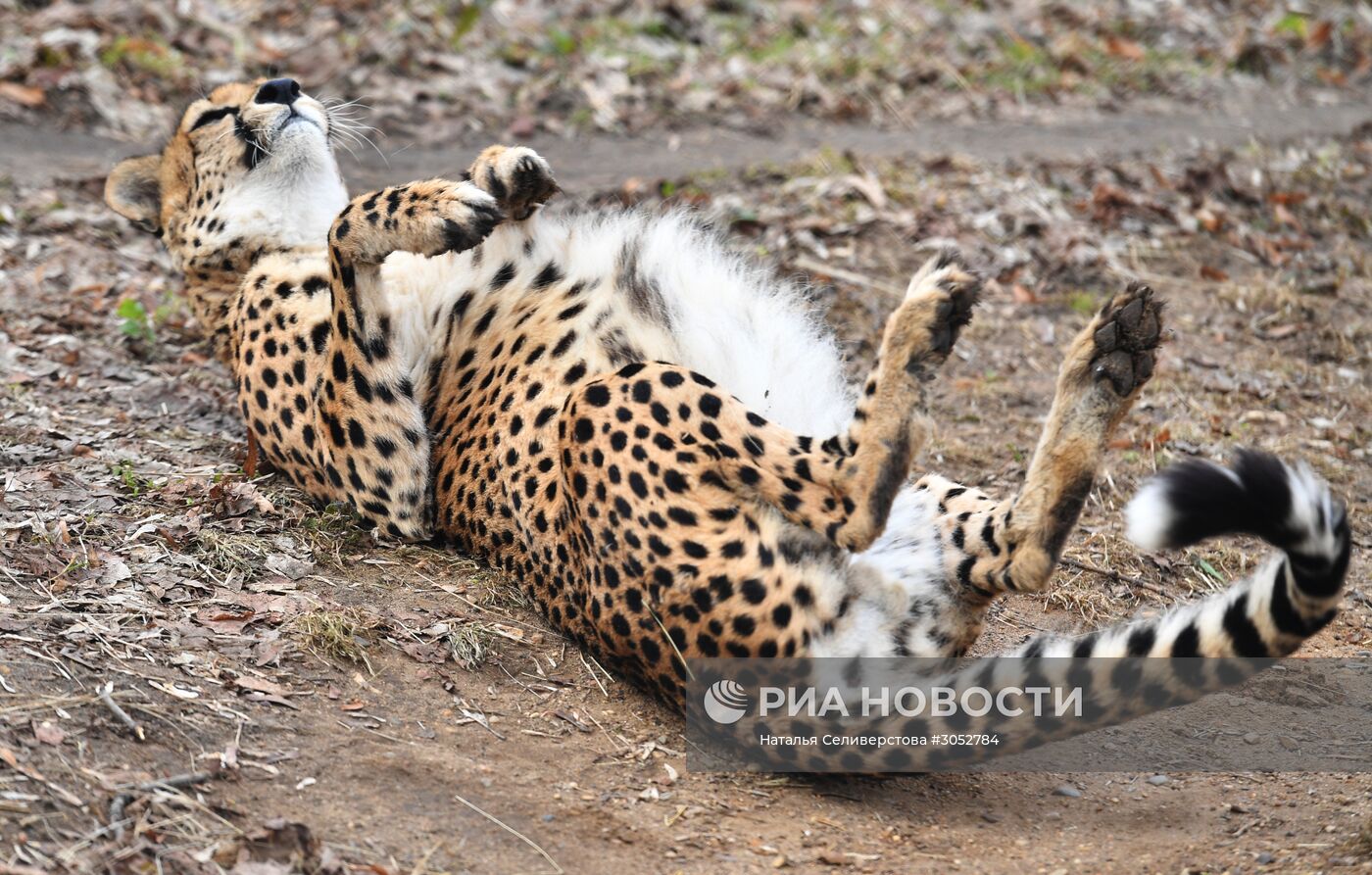 Московский зоопарк