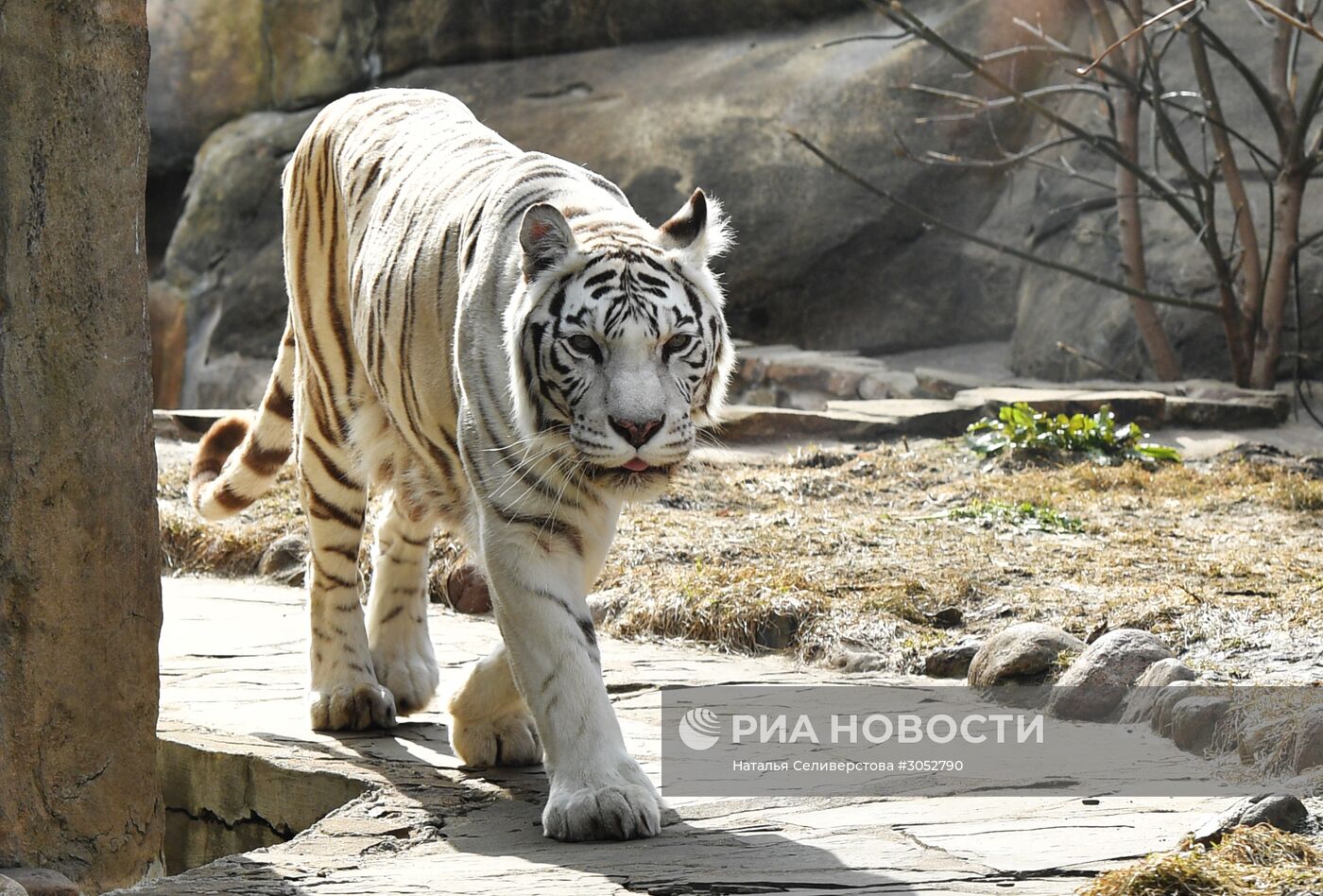 Московский зоопарк