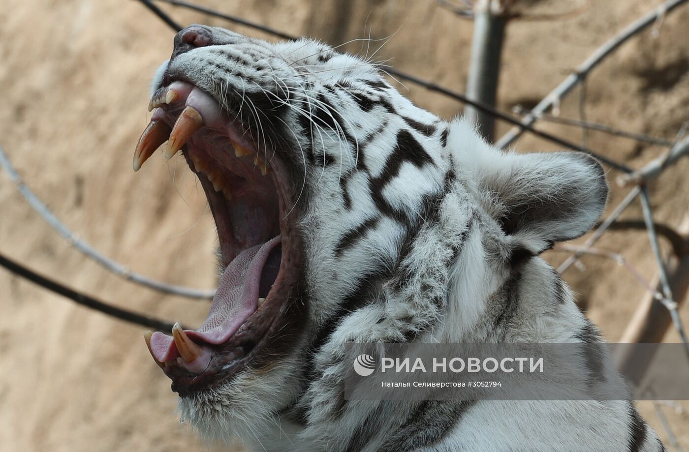 Московский зоопарк