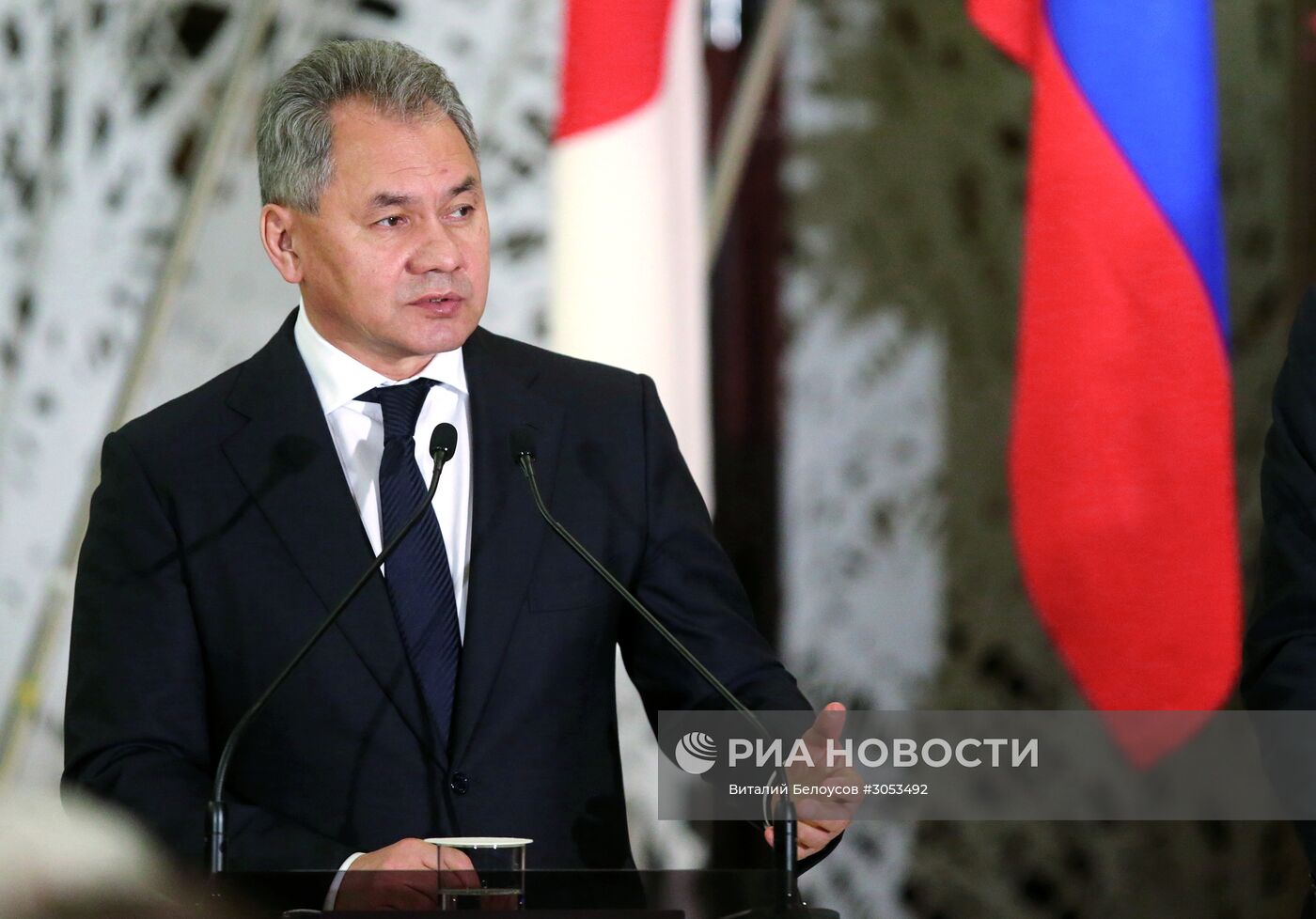 Визит главы МИД РФ С. Лаврова и министра обороны РФ С. Шойгу в Японию