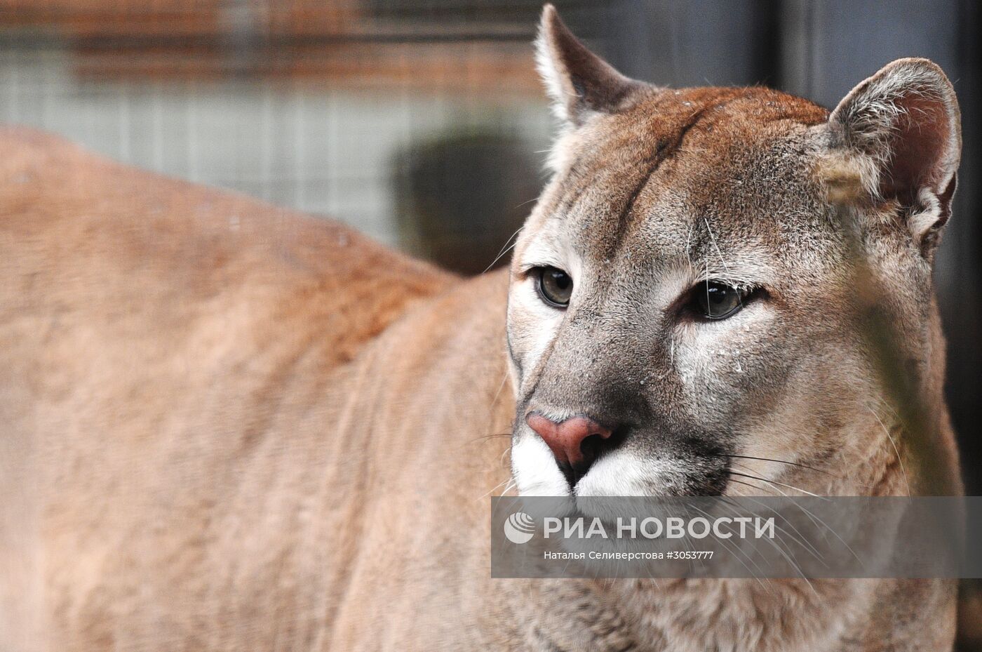 Московский зоопарк