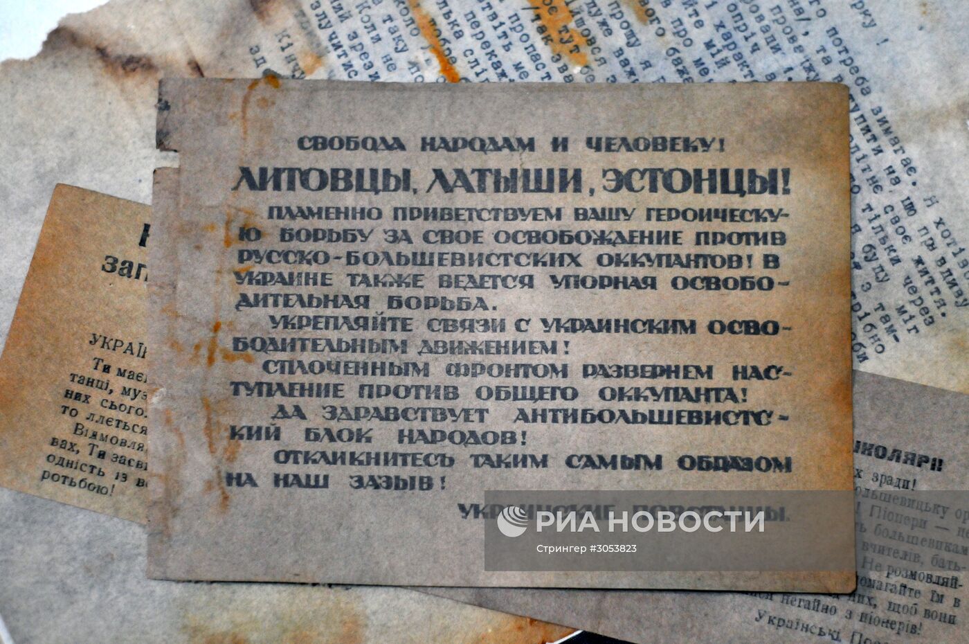 Архивы запрещенной в РФ Организации украинских националистов (ОУН) представлены во Львове