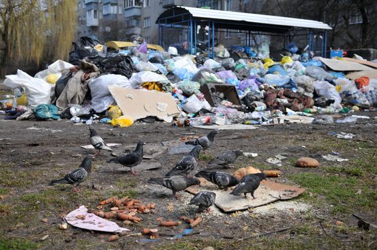 Проблема утилизации бытовых отходов во Львове