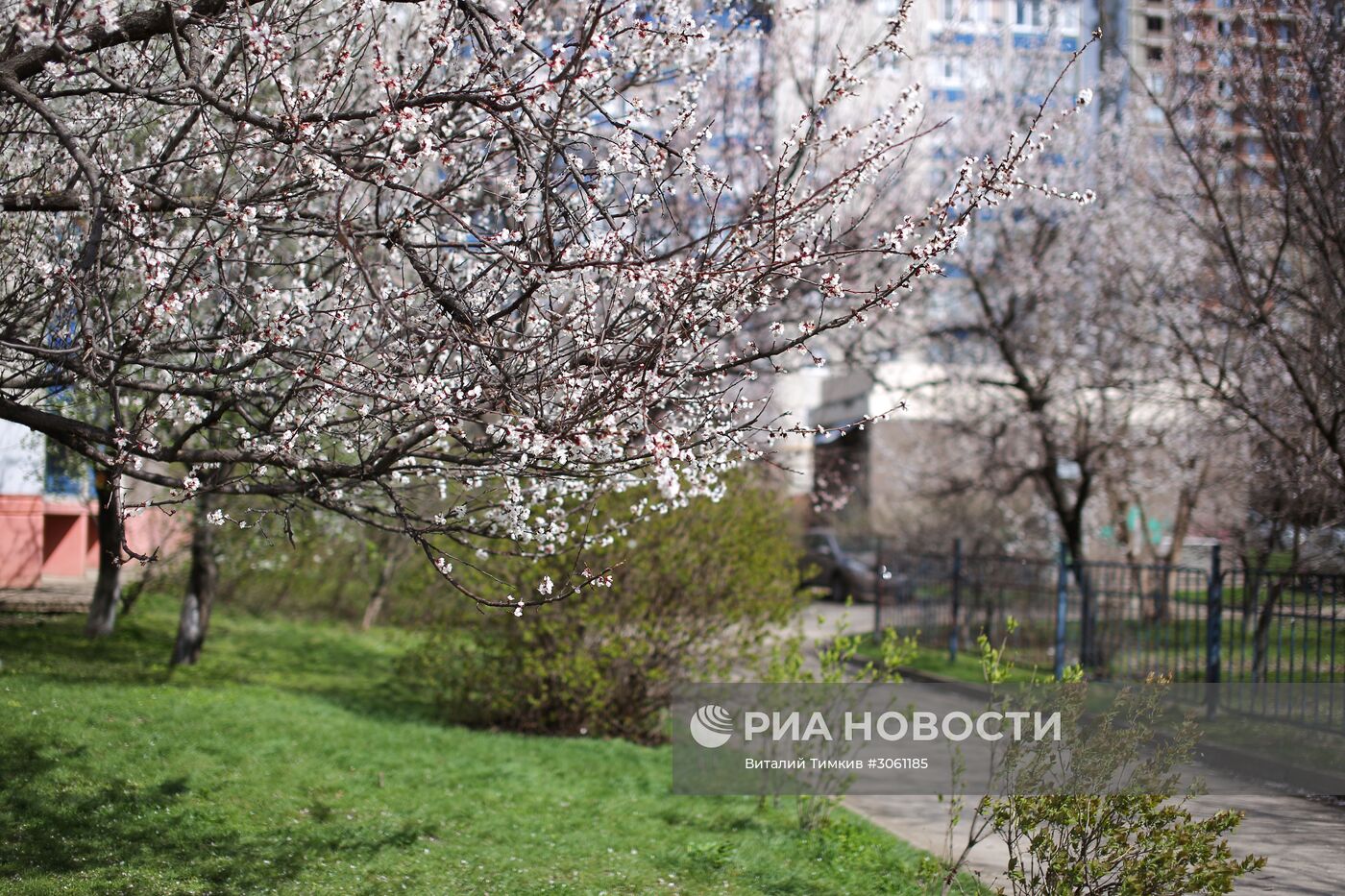 Весна в Краснодаре