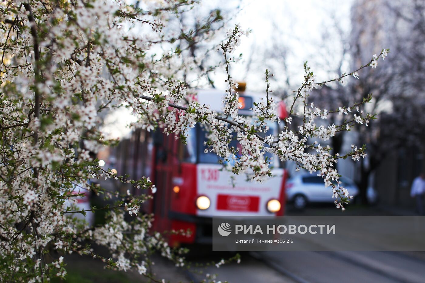 Весна в Краснодаре