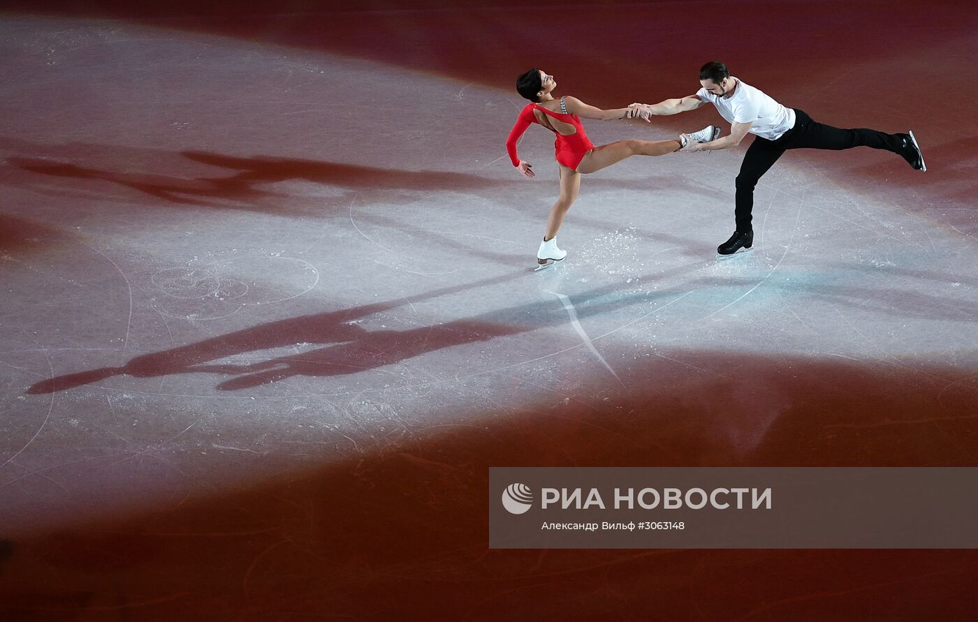 Фигурное катание. Чемпионат мира. Показательные выступления