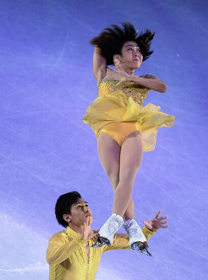 Фигурное катание. Чемпионат мира. Показательные выступления