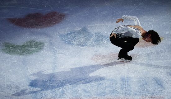 Фигурное катание. Чемпионат мира. Показательные выступления