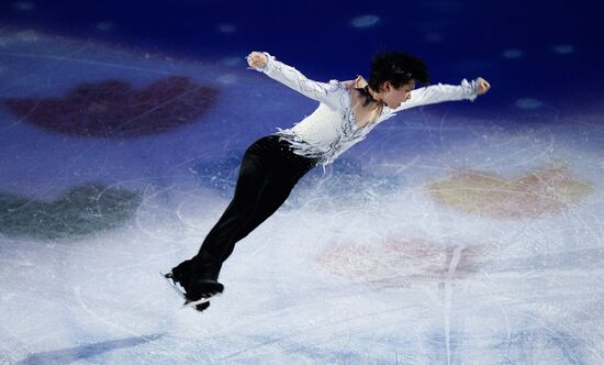 Фигурное катание. Чемпионат мира. Показательные выступления