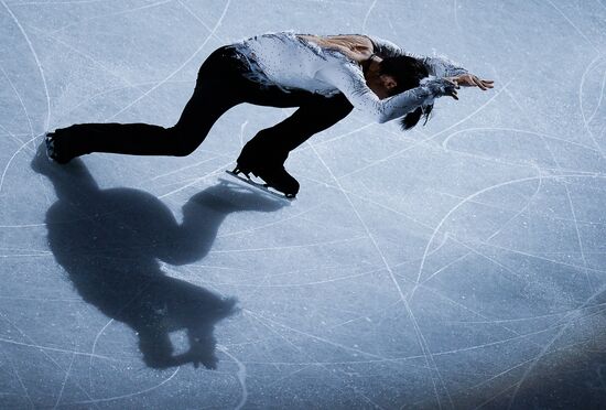 Фигурное катание. Чемпионат мира. Показательные выступления