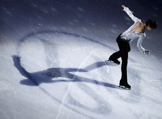 Фигурное катание. Чемпионат мира. Показательные выступления