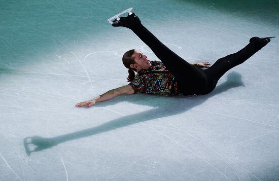 Фигурное катание. Чемпионат мира. Показательные выступления