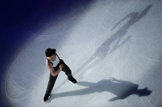 Фигурное катание. Чемпионат мира. Показательные выступления