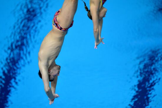 Прыжки в воду. Мировая серия FINA. Третий день