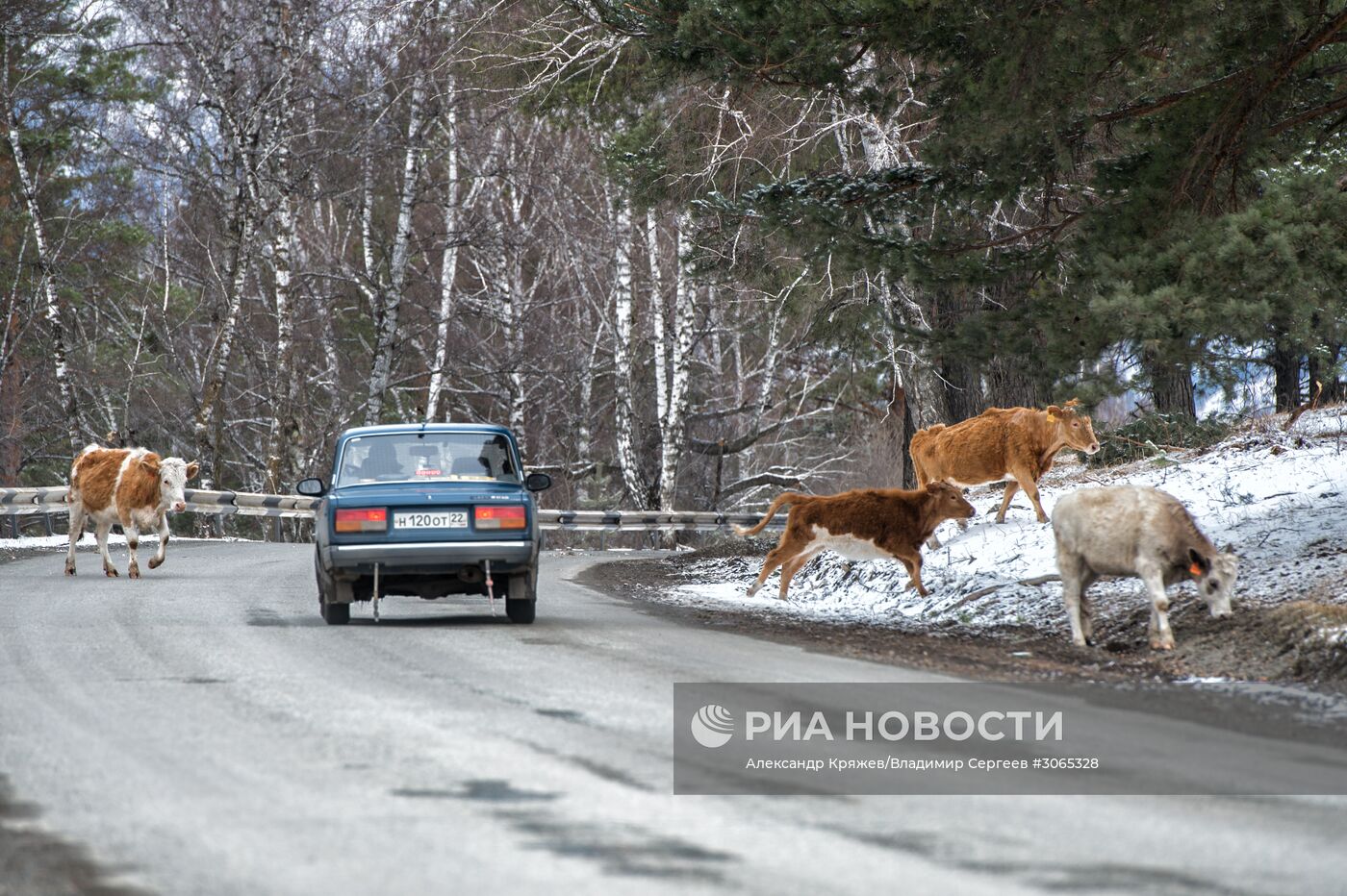 Регионы России. Республика Алтай, Алтайский край