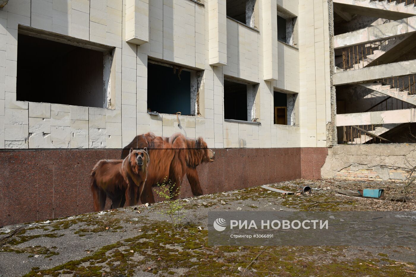 Зона отчуждения Чернобыльской АЭС