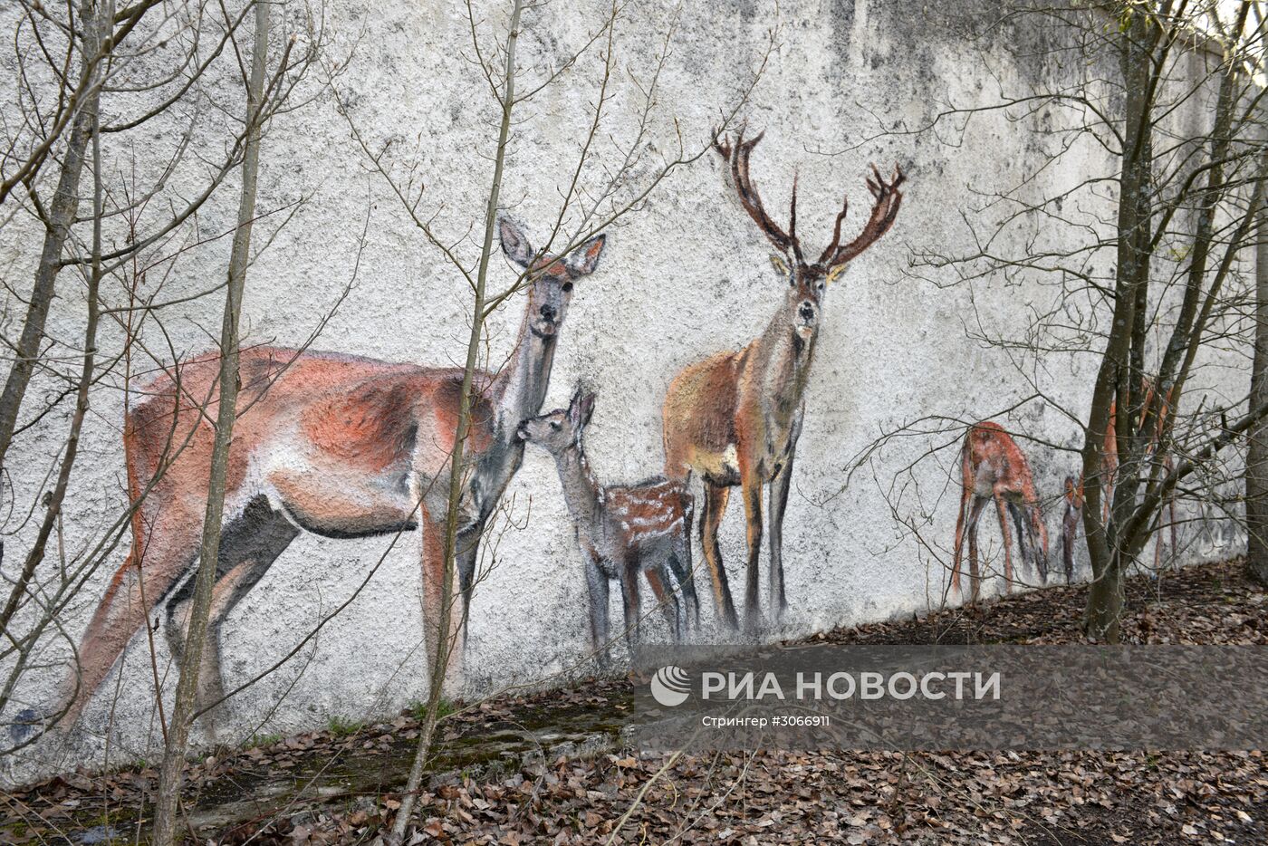 Зона отчуждения Чернобыльской АЭС