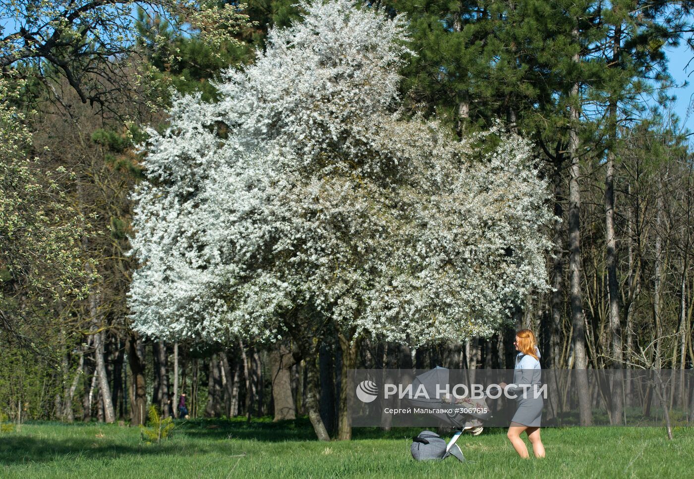 Ботанический сад в Крыму