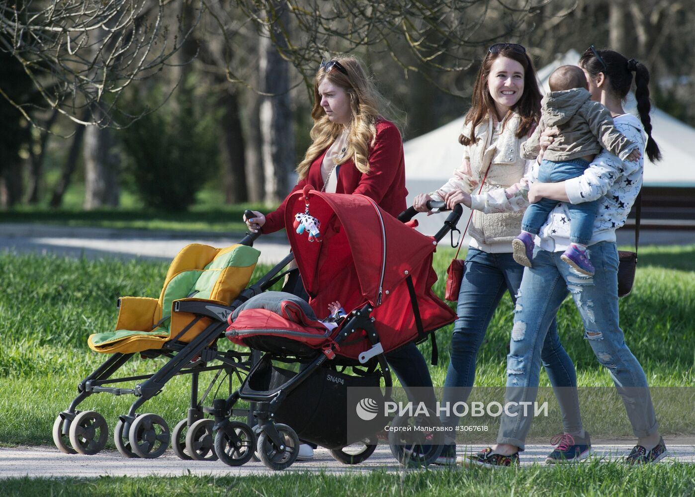 Ботанический сад в Крыму