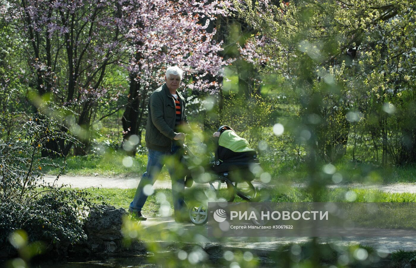 Ботанический сад в Крыму