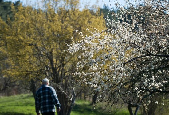 Ботанический сад в Крыму