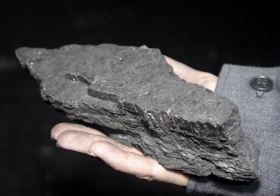 Шахта ГП "Торезантрацит" в Донецкой области