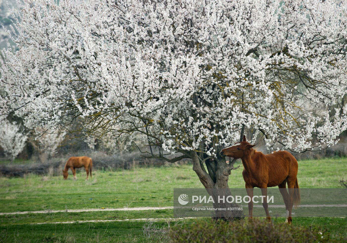 Село Клиновка в Крыму