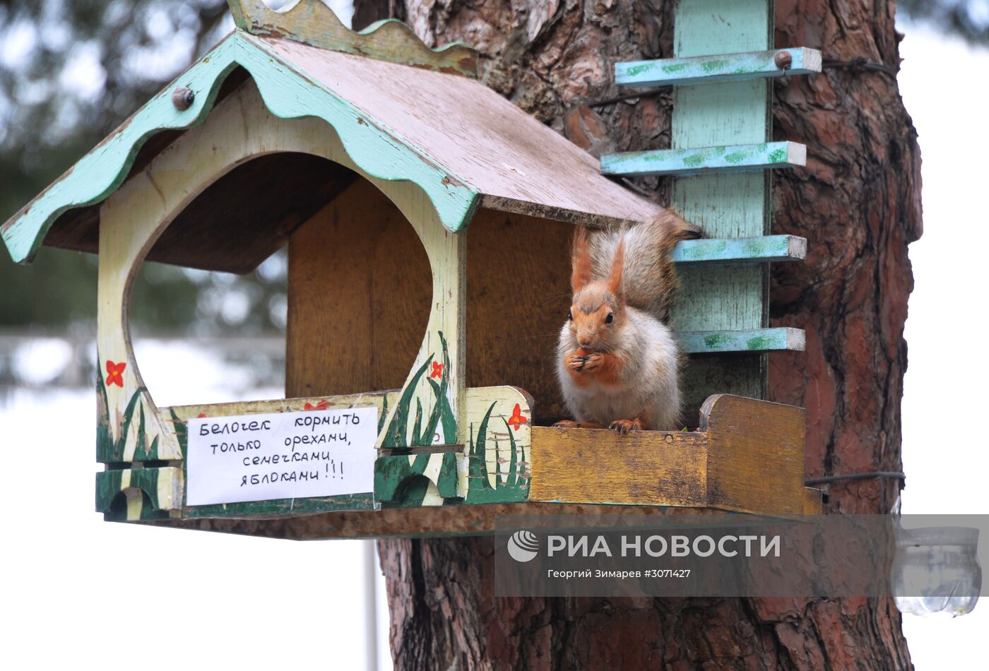 Город-курорт Геленджик