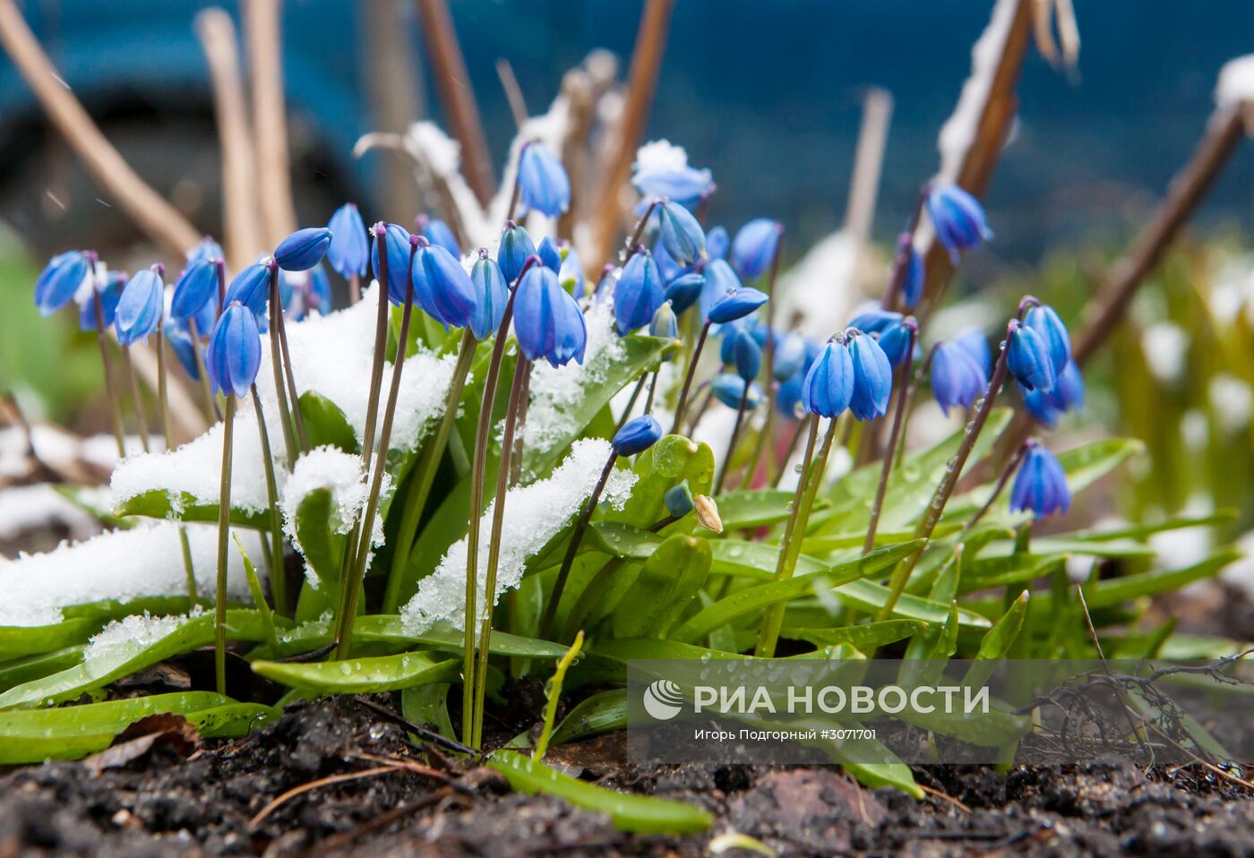 Снег в Петрозаводске