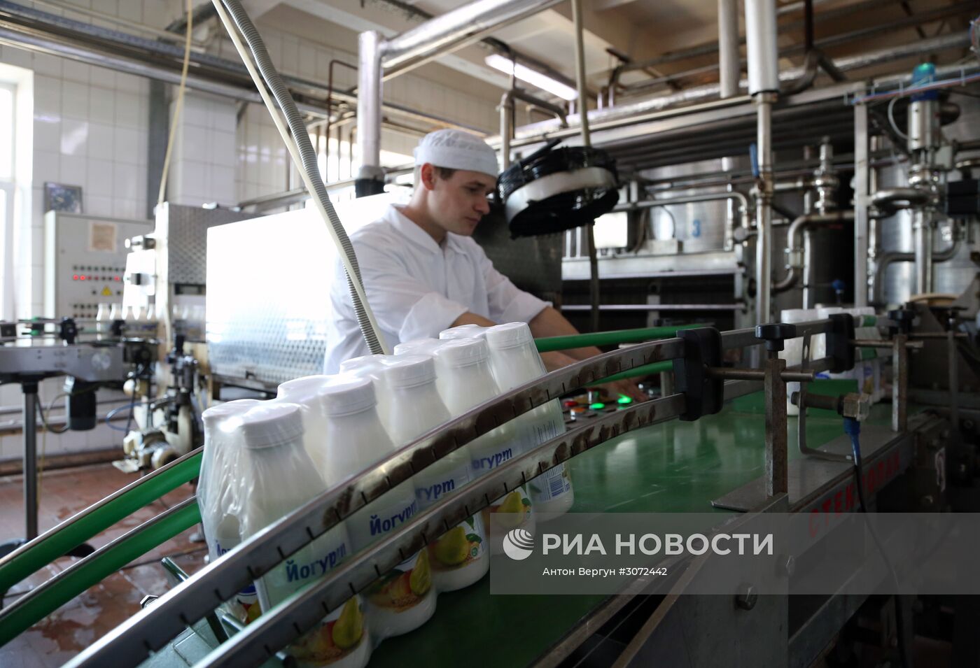 Производство молочных продуктов в Белгороде | РИА Новости Медиабанк