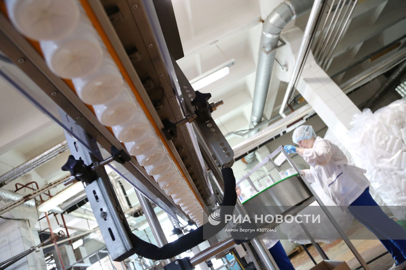 Производство молочных продуктов в Белгороде