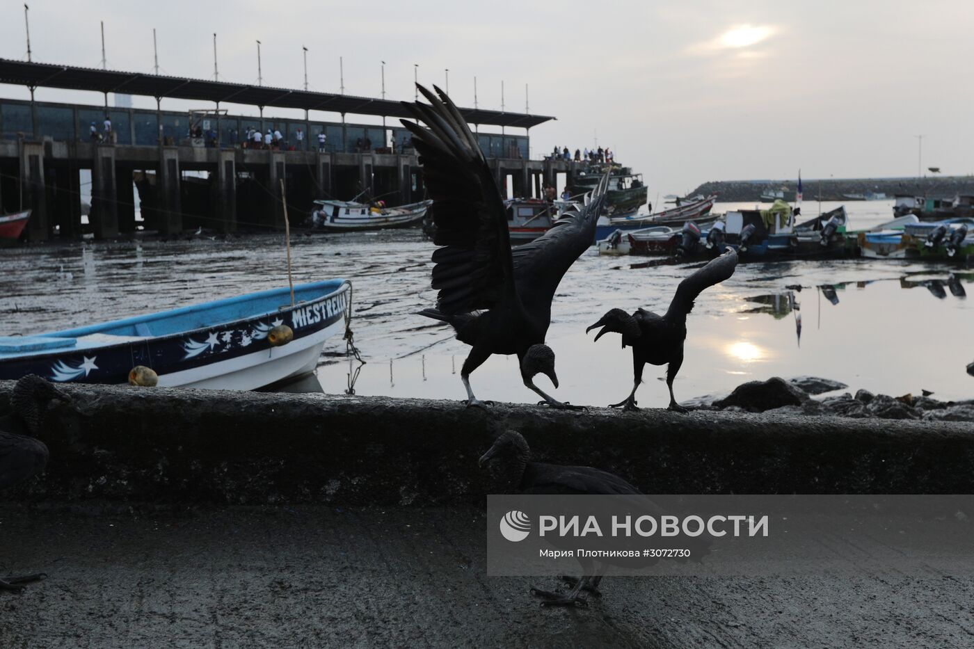 Страны мира. Панама