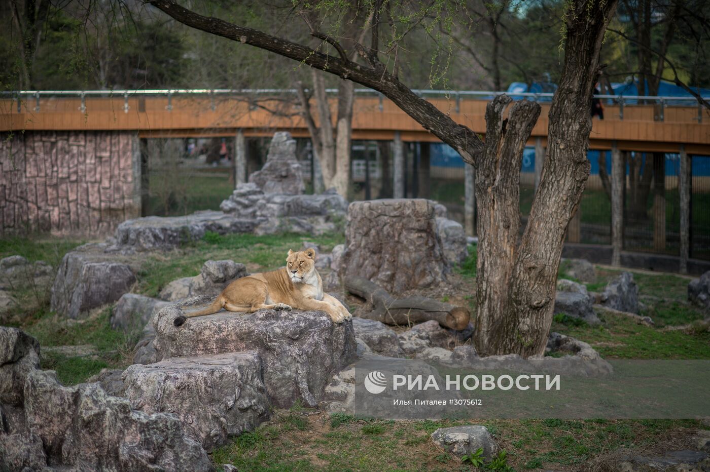 Города мира. Пхеньян