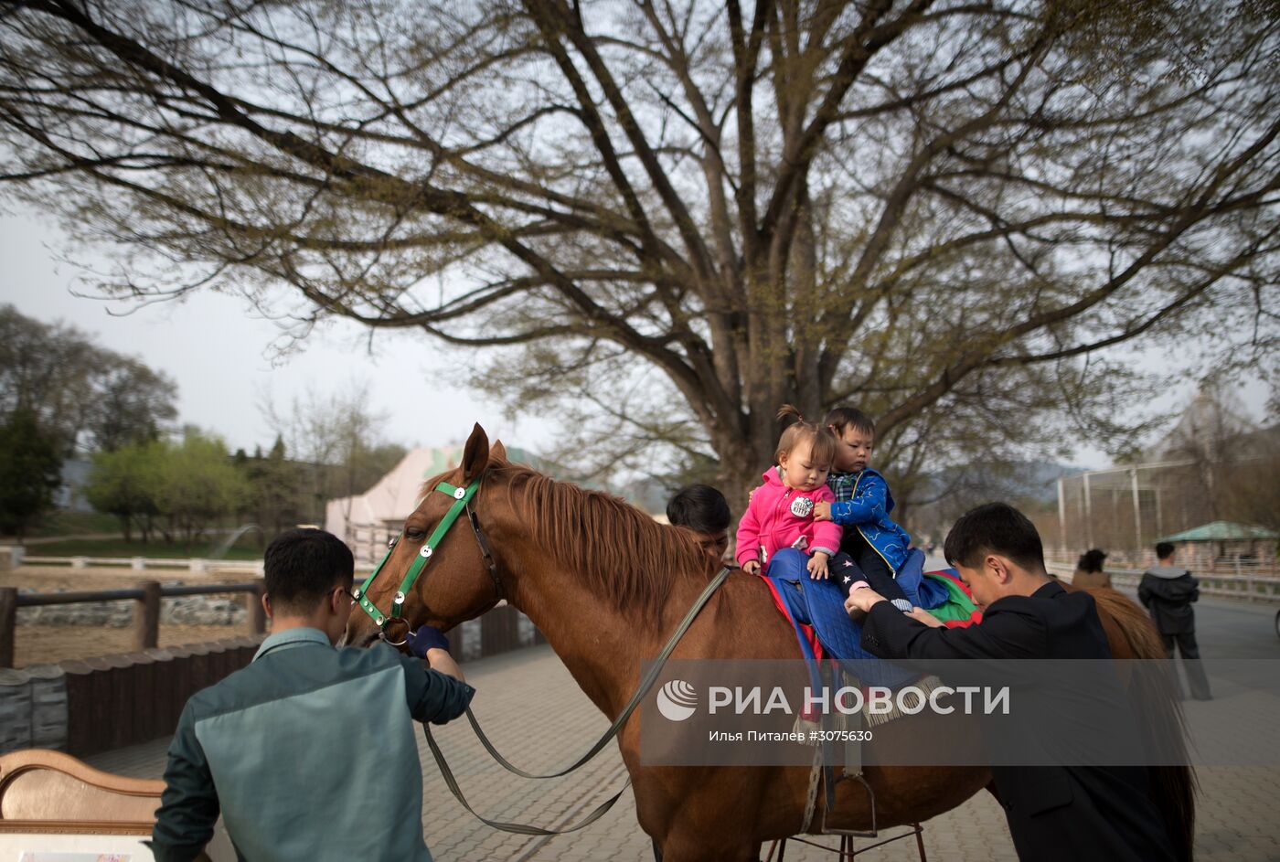 Города мира. Пхеньян