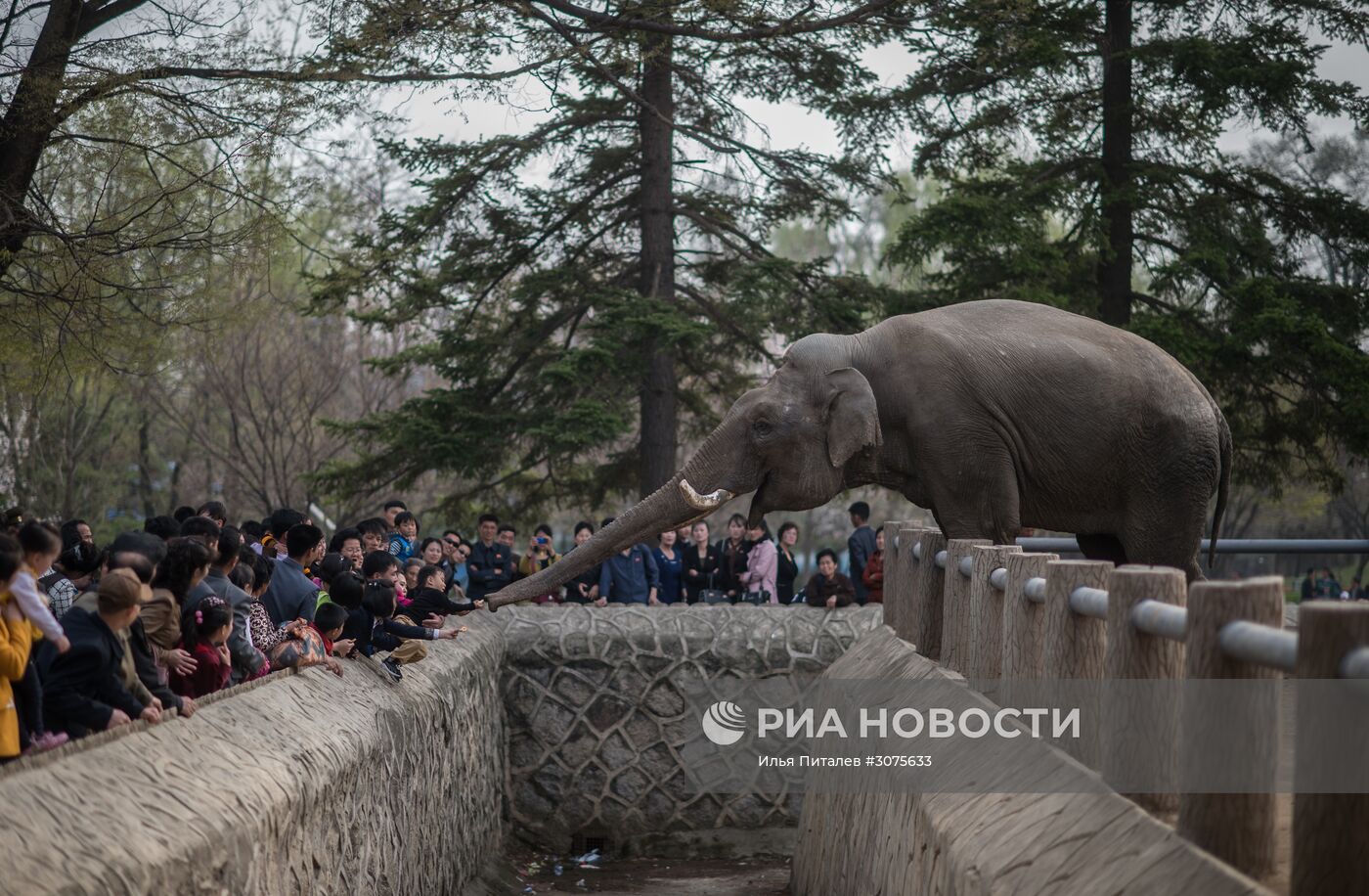 Города мира. Пхеньян