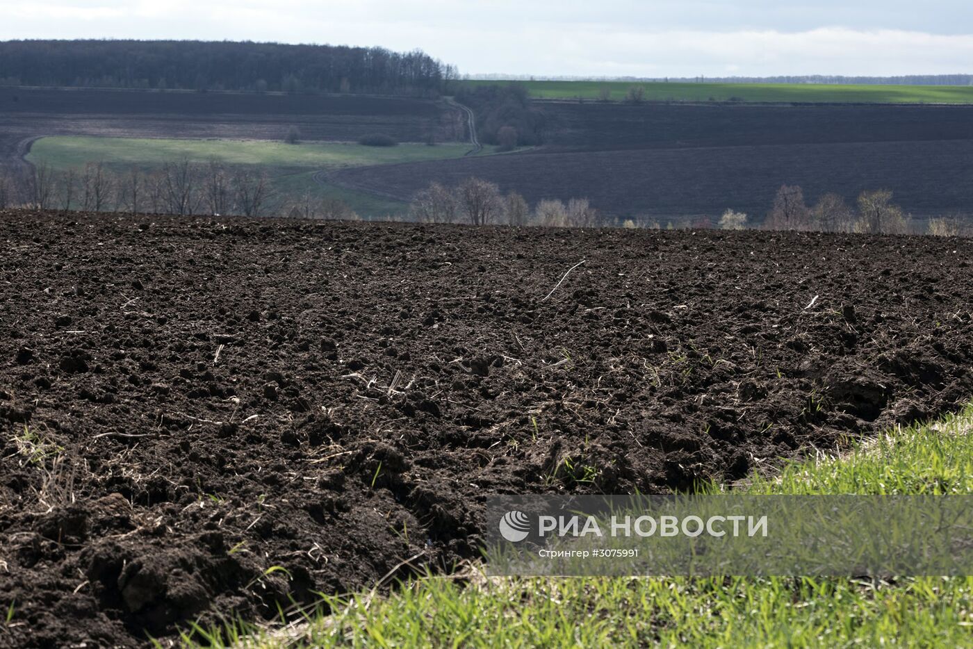Чернозёмные почвы Украины