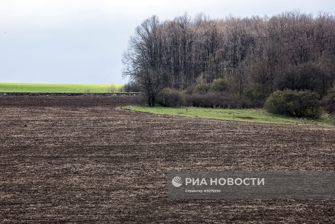 Чернозёмные почвы Украины