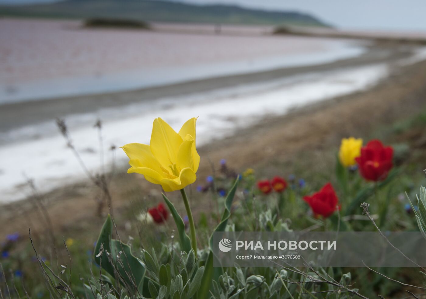 Опукский природный заповедник в Крыму