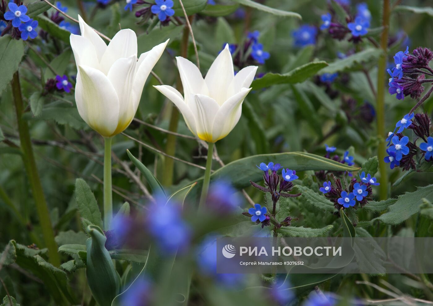 Опукский природный заповедник в Крыму