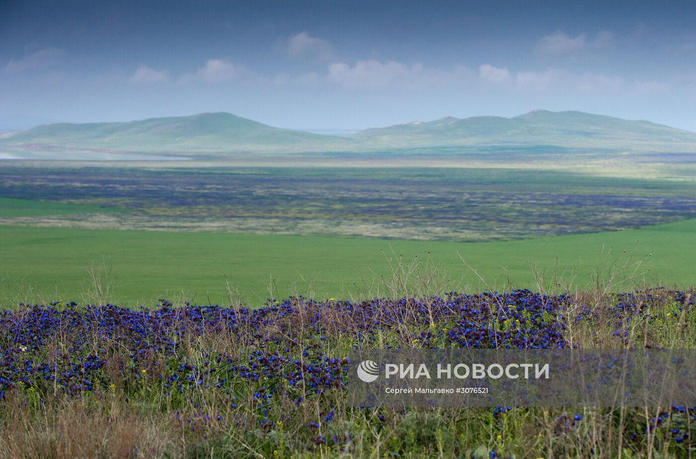 Опукский природный заповедник в Крыму